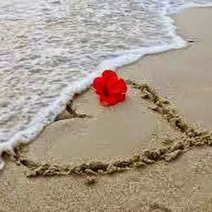 Meet your Posher, Deanna